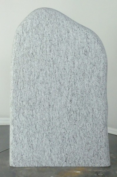 004CS001RWS-3001269