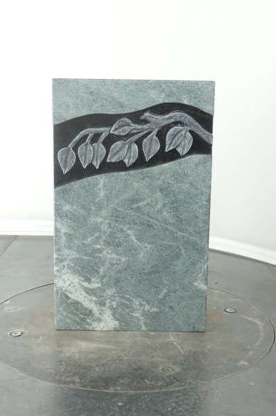 003VM200ST-3000902