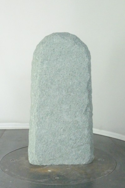 004AN001GT-3001272