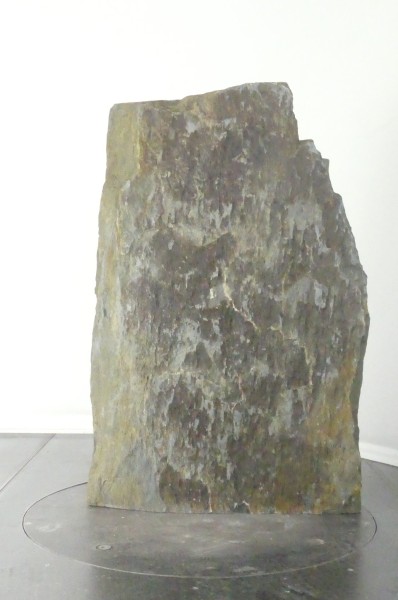 004SC001SR-3001471