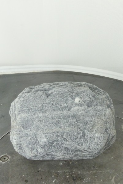 001AG001GT-3000479