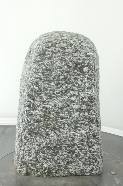 004AP001GT-3000773