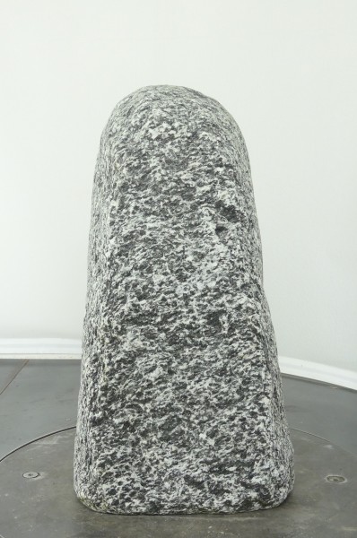004AP001GT-3000809