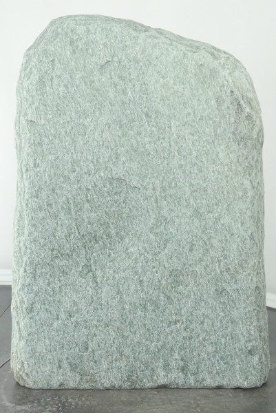 004AN001GT-3000365