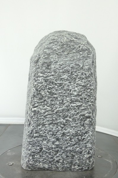 004AP001GT-3000858